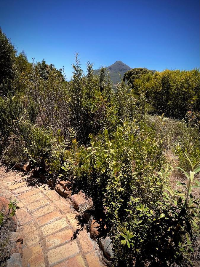 Windrose, Noordhoek, Sensationeller Meerblick Cape Town Dış mekan fotoğraf