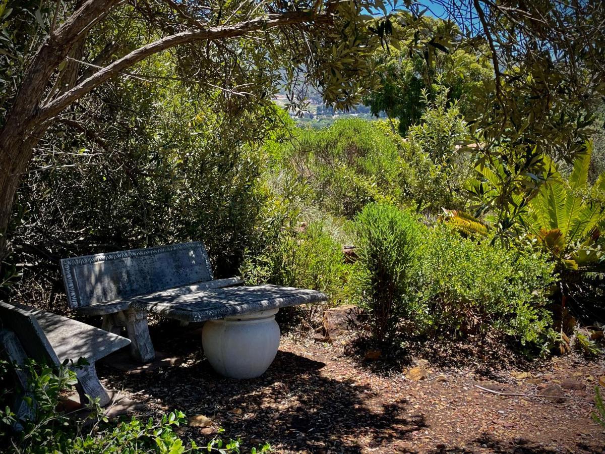 Windrose, Noordhoek, Sensationeller Meerblick Cape Town Dış mekan fotoğraf