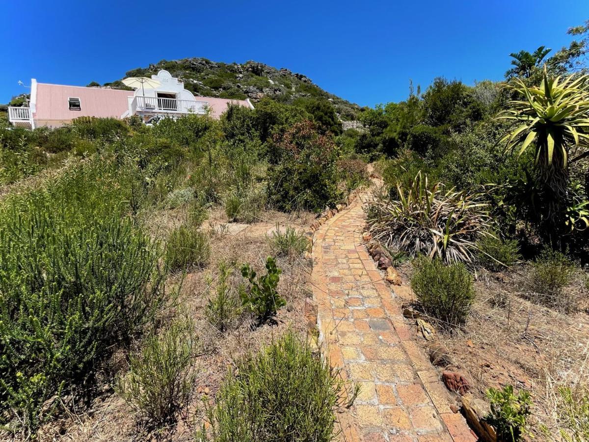 Windrose, Noordhoek, Sensationeller Meerblick Cape Town Dış mekan fotoğraf